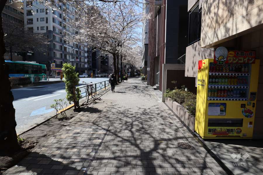 敷地南側の前面道路（西側から）