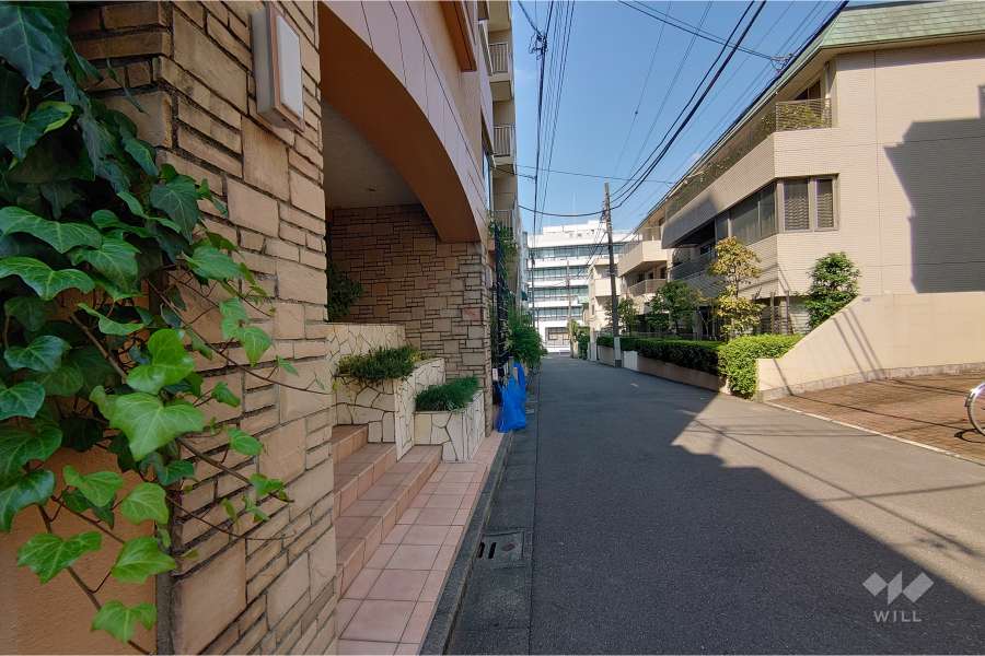 敷地東側の前面道路（南側から）