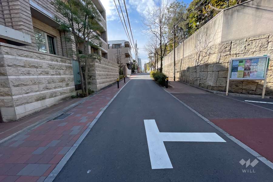 敷地北西側の前面道路（北東側から）