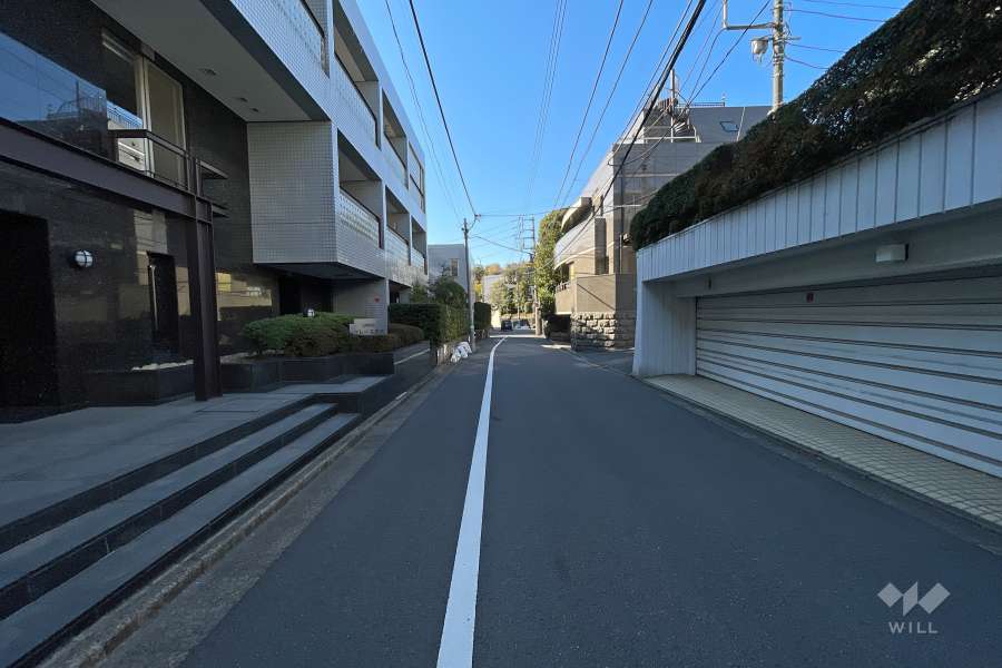 敷地西側の前面道路（北側から）