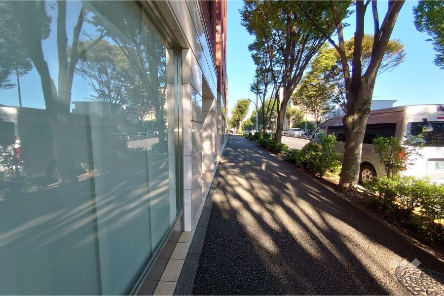 敷地南側の前面道路（西側から）