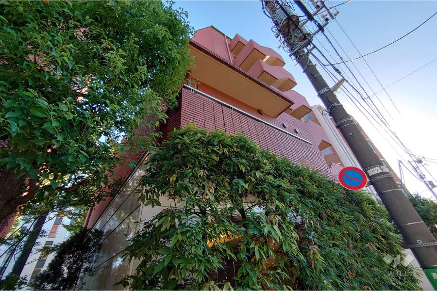 ペアシティ代々木大山アネックスウエストの外観（北東側から）