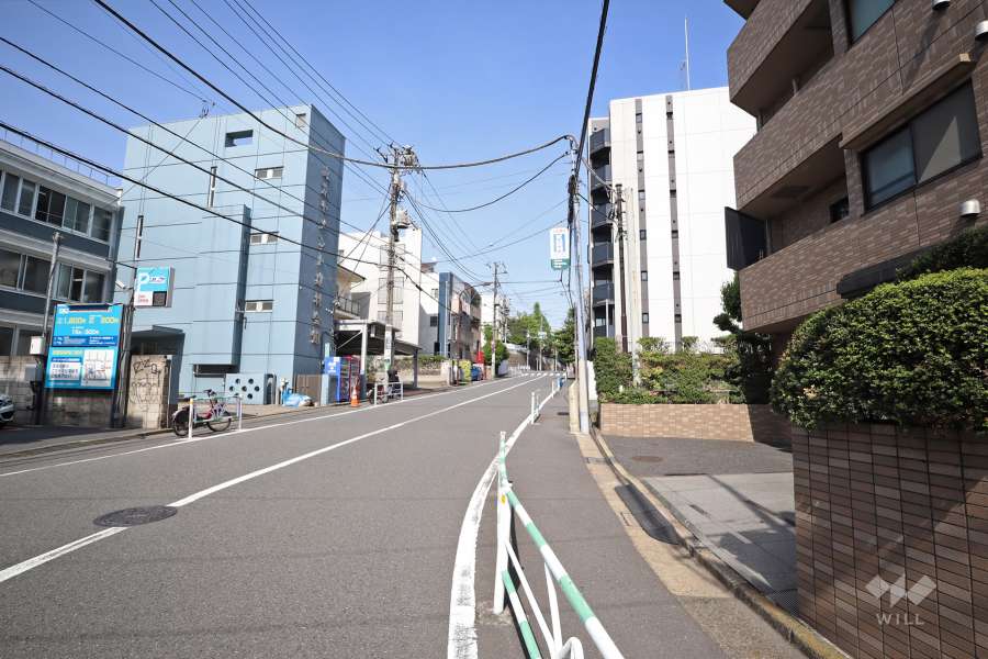 敷地北側の前面道路（西側から）