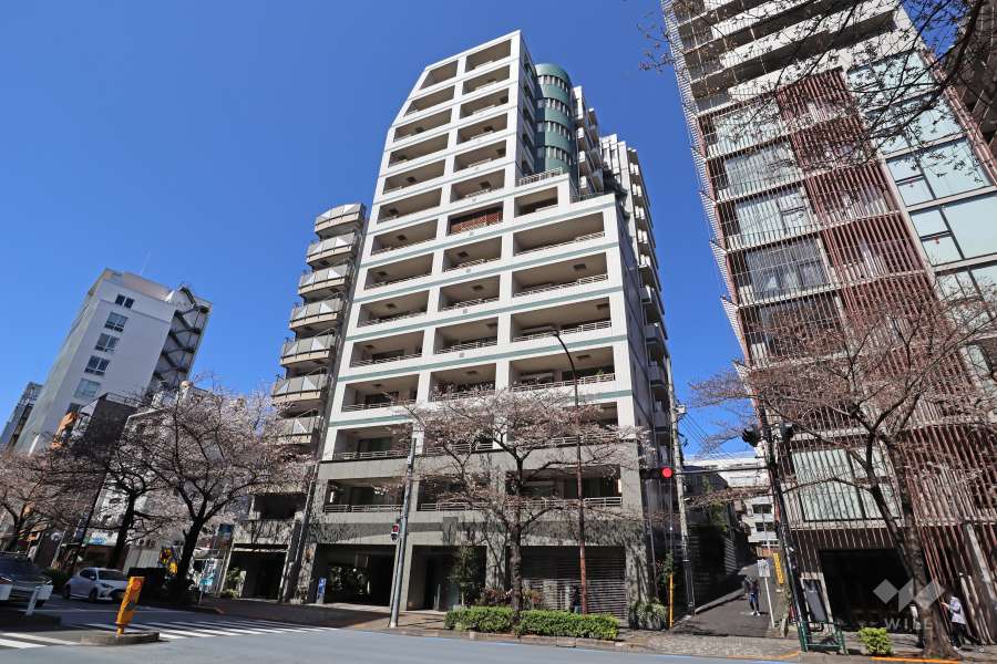 広尾シティタワーの外観（南東側から）