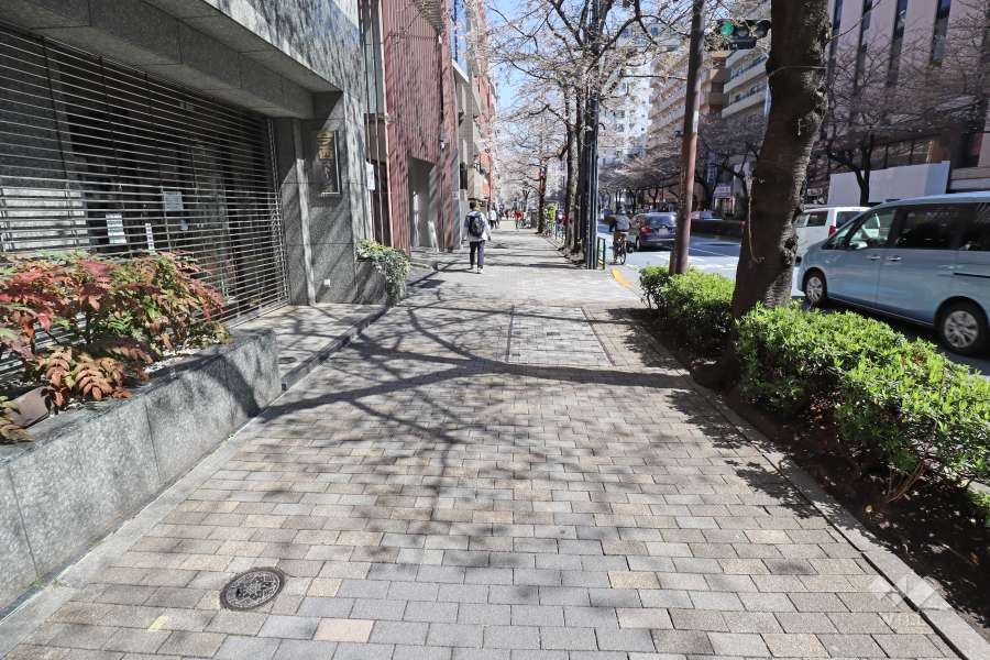 敷地南側の前面道路。二車線のバス通りです。