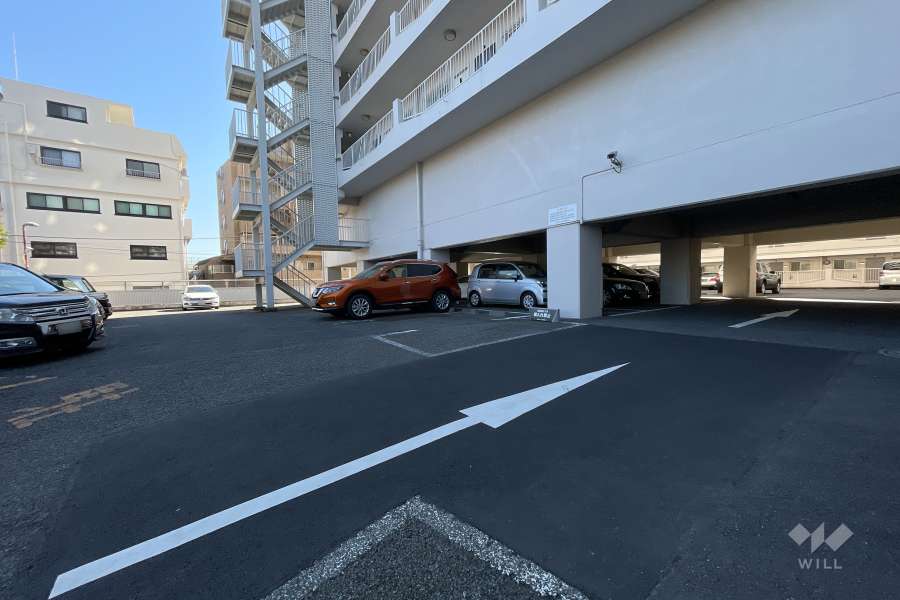 敷地内駐車場（屋外平面式・屋内平面式）