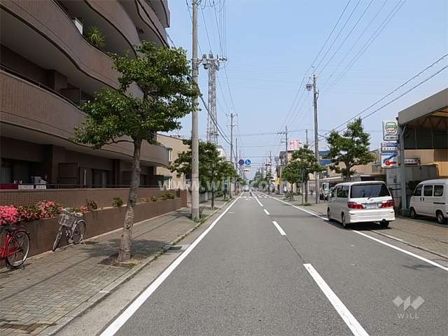 敷地南側は街路樹のきれいな二車線の道路に面してます。