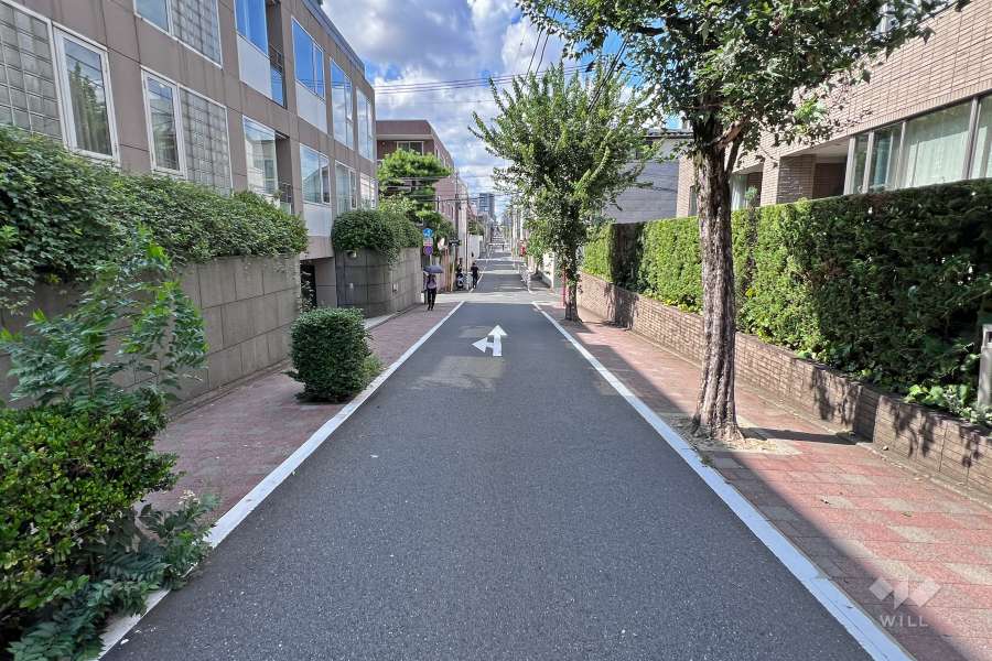 敷地南西側の前面道路（南東側から）