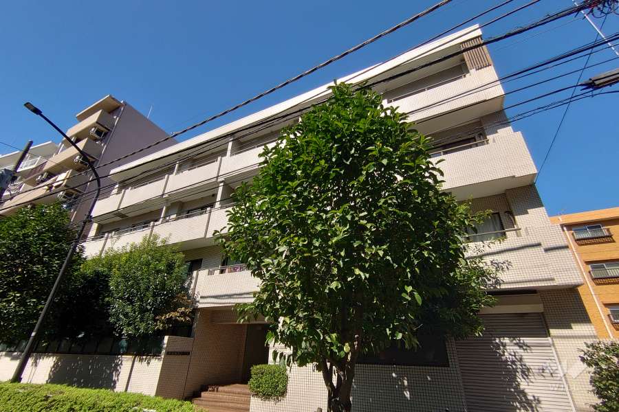 藤和駒場コープ2の外観（南側から）