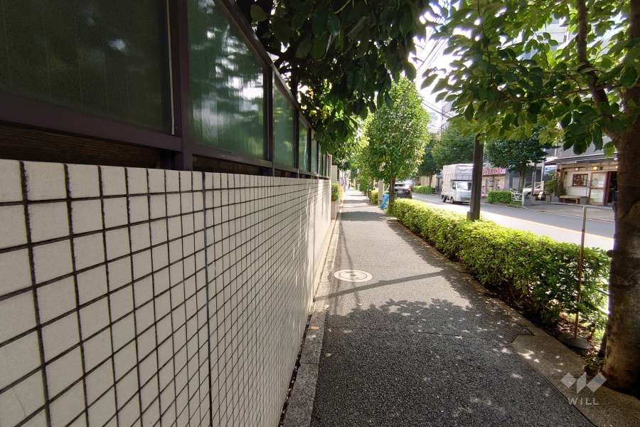 敷地南西側の前面道路（北西側から）