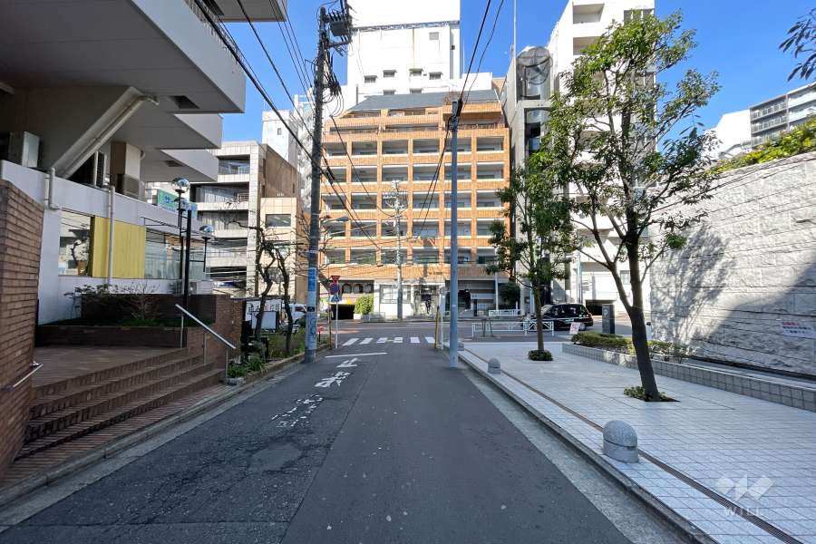 敷地南東側の前面道路（南東側から）