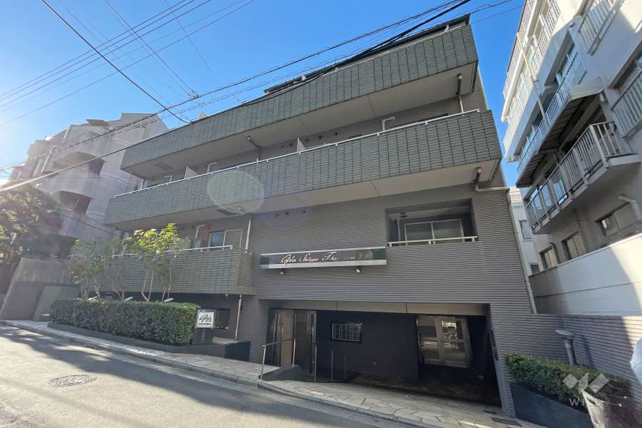 ガーラ渋谷常磐松の外観（北東側から）