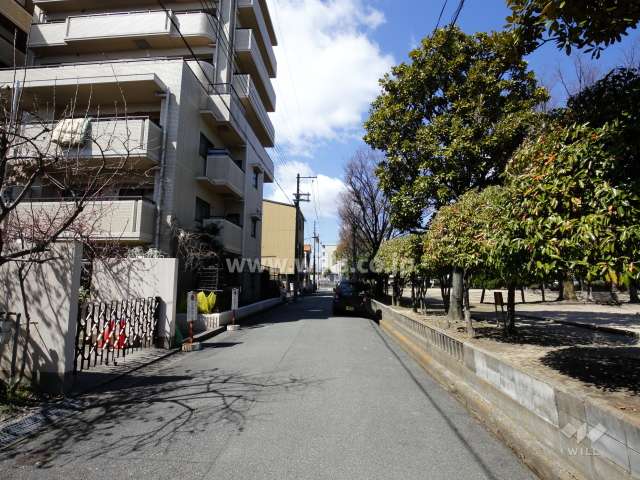 敷地北側の前面道路。道を挟んで『名月公園』があります。
