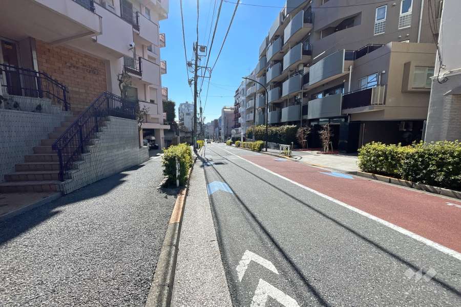敷地東側の前面道路（北側から）