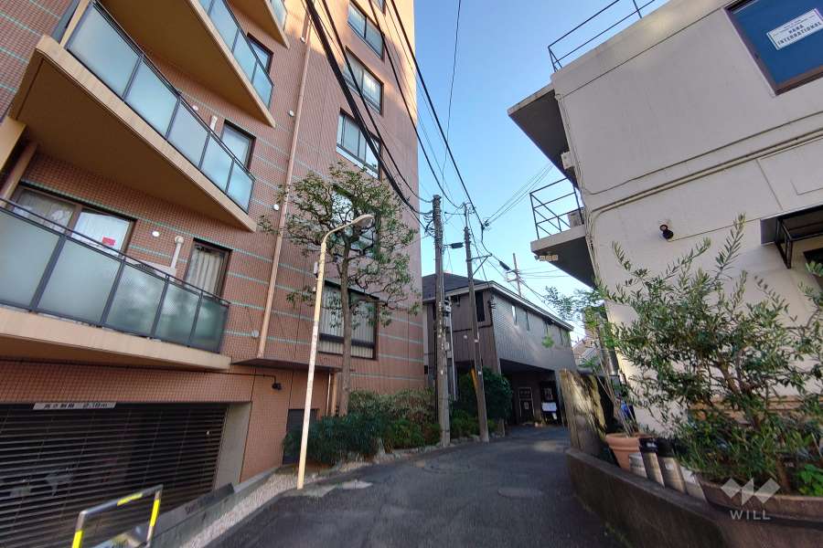 敷地西側の前面道路（北側から）