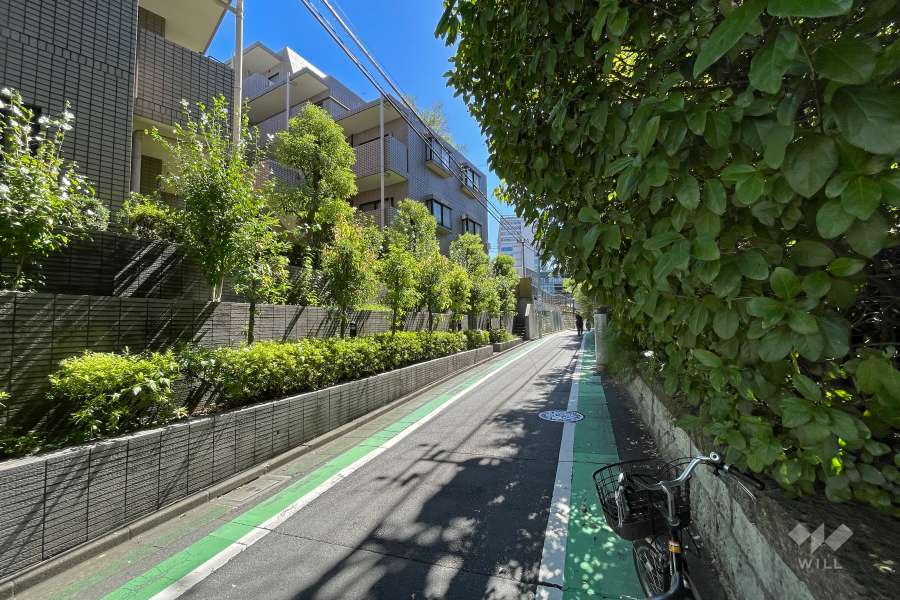 敷地北西側の前面道路（北東側から）