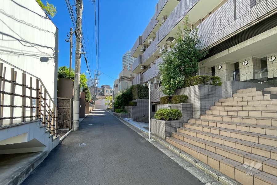 敷地北東側の前面道路（北西側から）