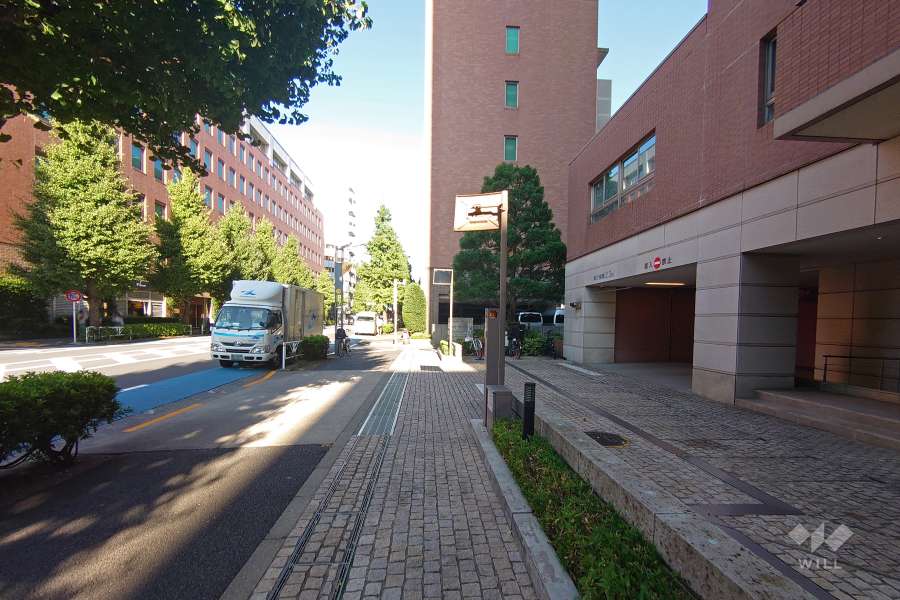 敷地北側の前面道路（西側から）