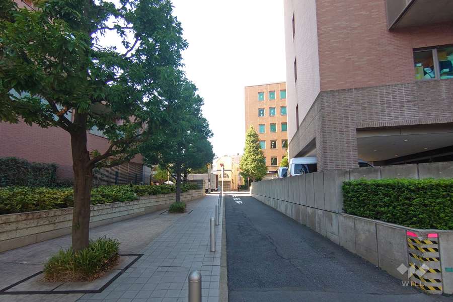 敷地東側の前面道路（南側から）