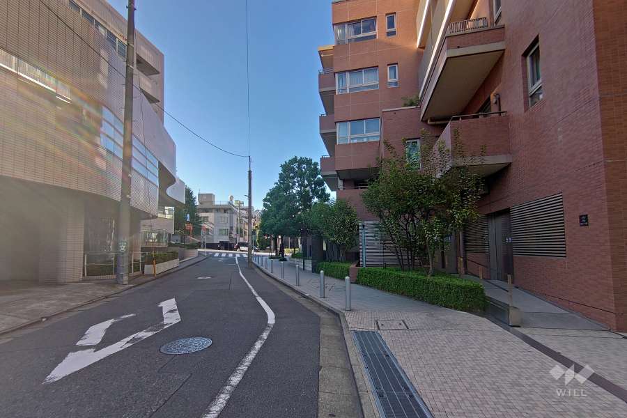 敷地南西側の前面道路（南東側から）