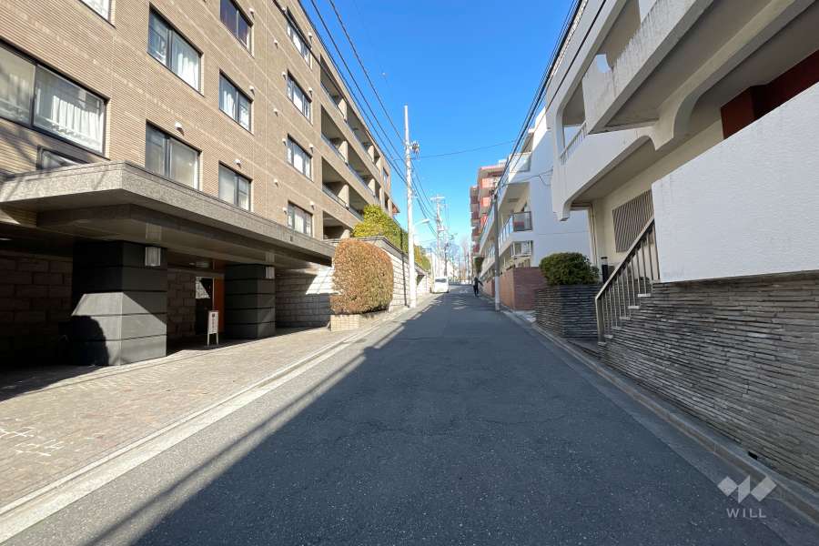 敷地東側の前面道路