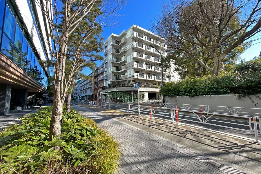 パセオ青山の遠景