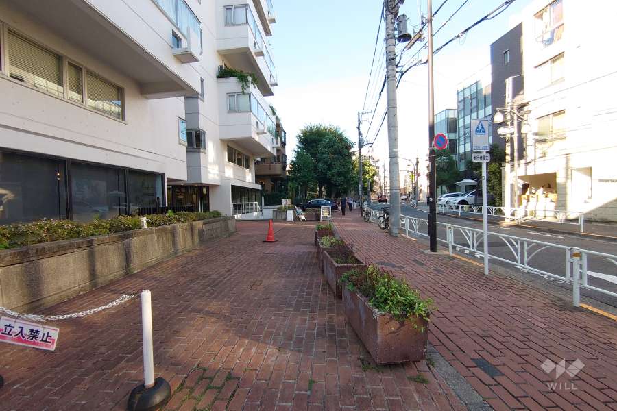 敷地東側の前面道路（南側から）