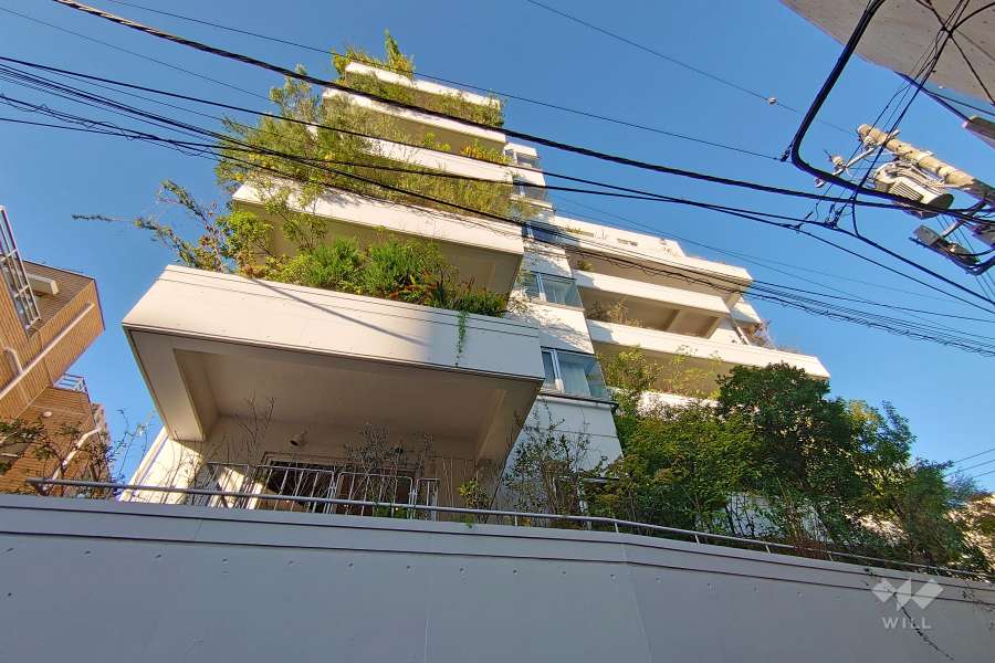 ビラグロリアの外観（南西側から）