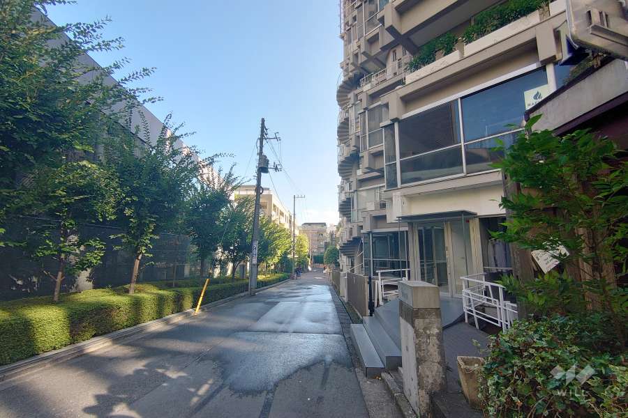 敷地北側の前面道路（西側から）