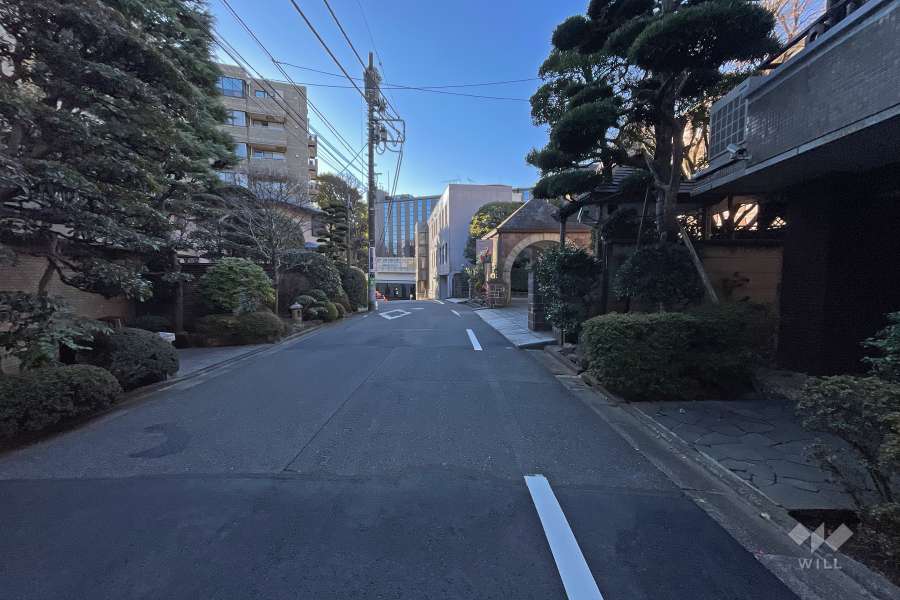敷地東側の前面道路（北側から）