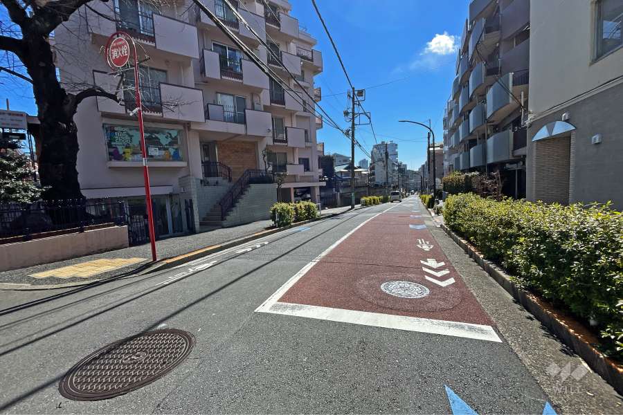 敷地西側の前面道路（北側から）