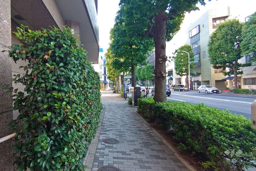 敷地西側の前面道路（外苑西通り）