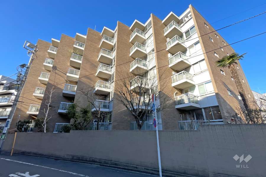 青山コーポラスの外観(東側から）