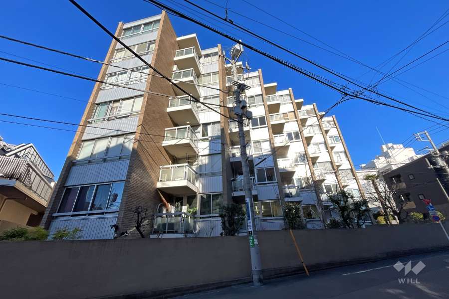 青山コーポラスの外観(南東側から）