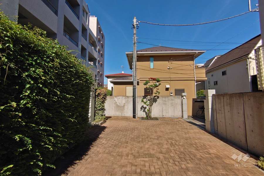 敷地南側の前面道路（西側から）