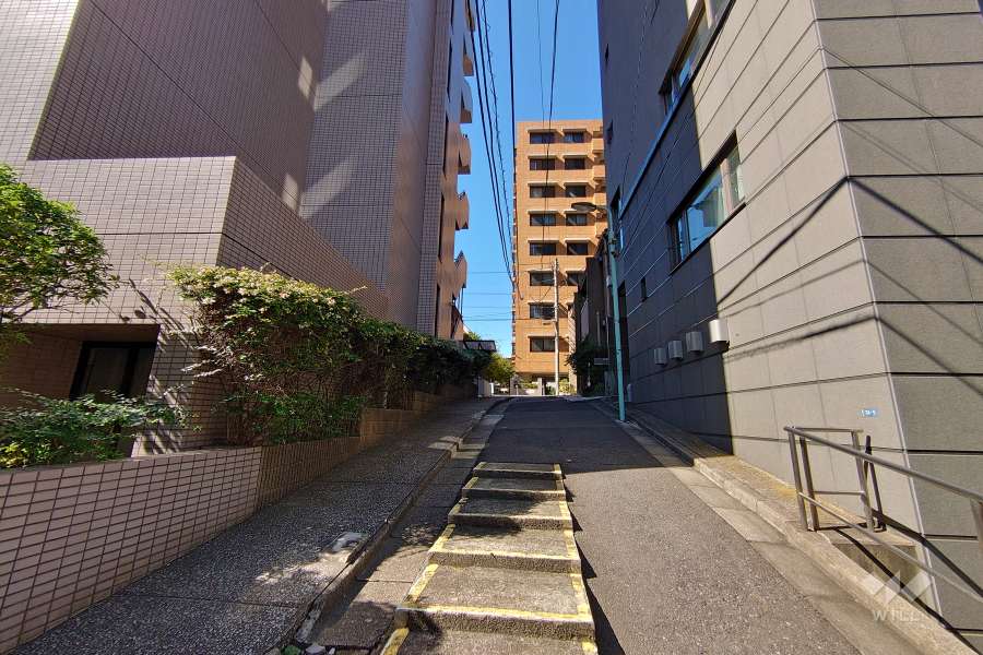 敷地南側の前面道路