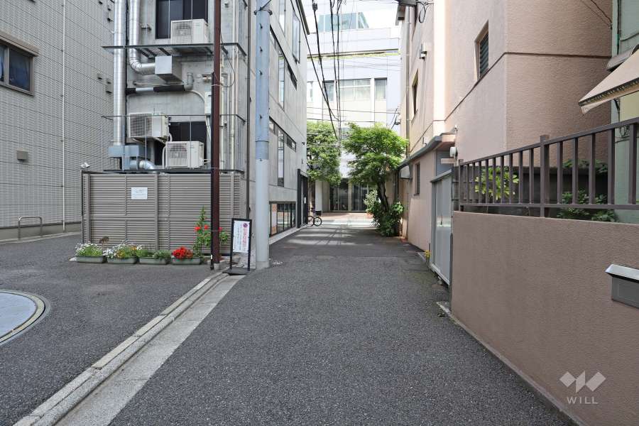 敷地南東側の前面道路(南西側から)