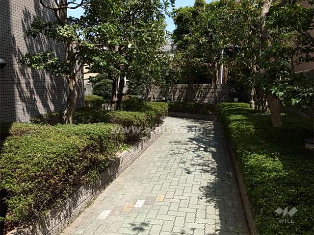 敷地内の各所に植栽スペースが設けれています。