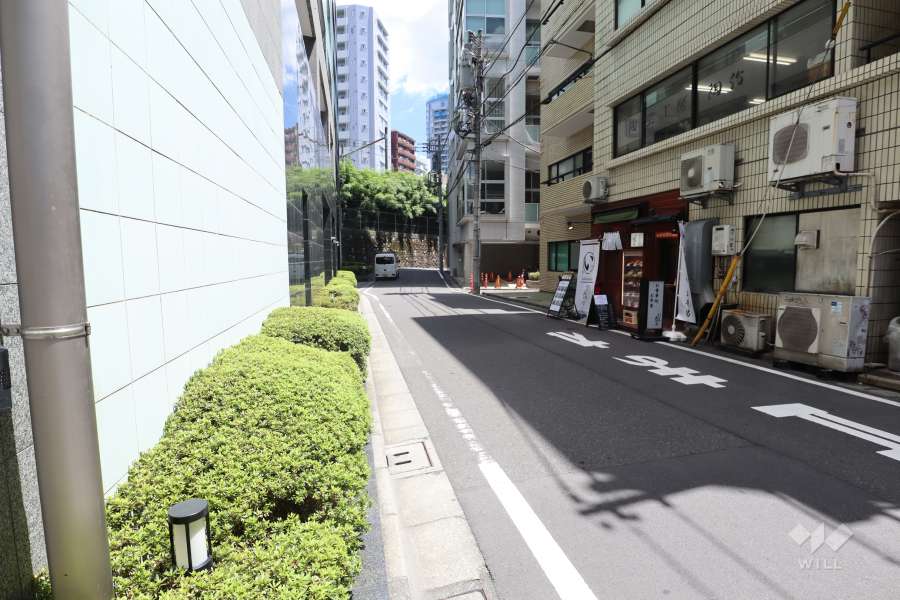 敷地南側の前面道路（西側から）