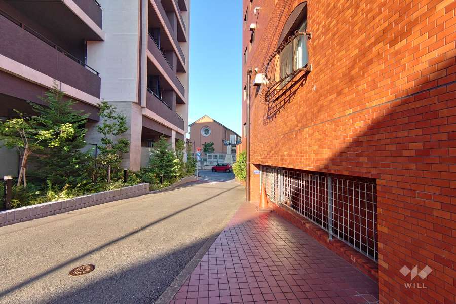 敷地北側の前面道路（西側から）