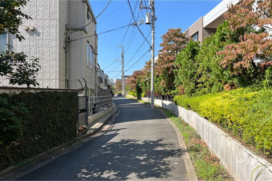 敷地南西側の前面道路（南東側から）