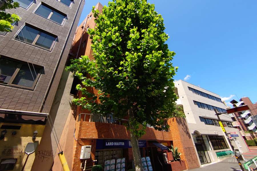 ライオンズマンション代々木の外観（南西側から）