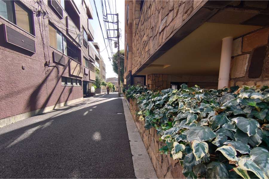 敷地北東側の前面道路（北西側から）