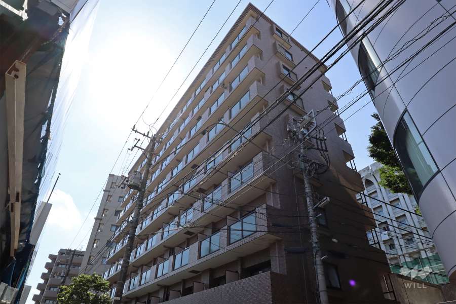 日神パレステージ笹塚第2の外観（東側から）