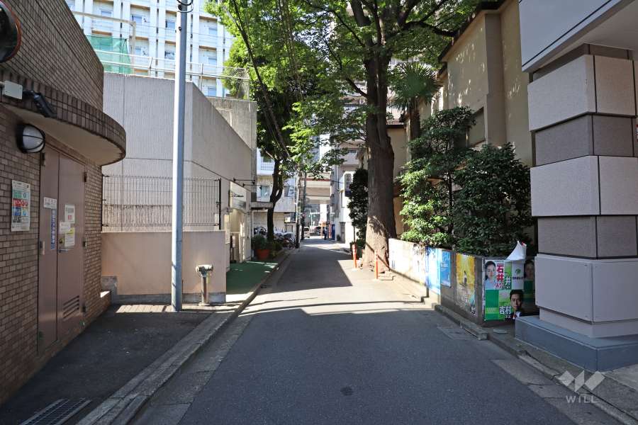 敷地東側の前面道路