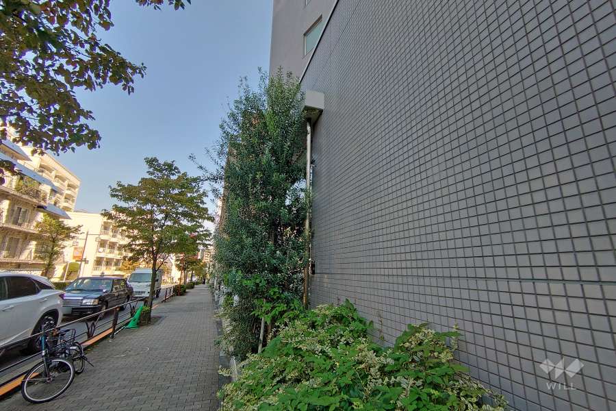 敷地北側の前面道路（西側から）