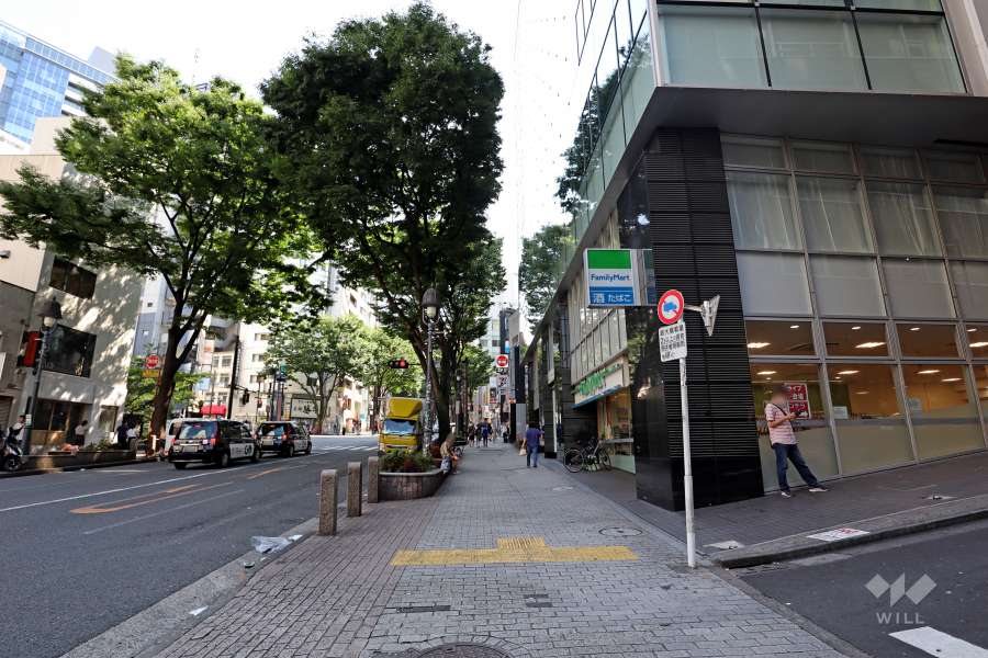 敷地南東側の前面道路