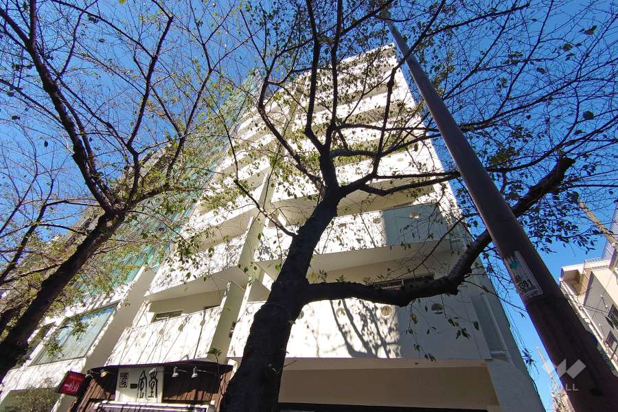 ハイネス恵比寿の外観（南東側から）