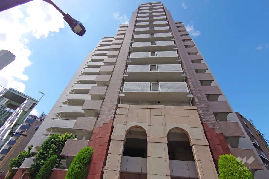 ヴィーナ・パルテールの外観（北東側から）