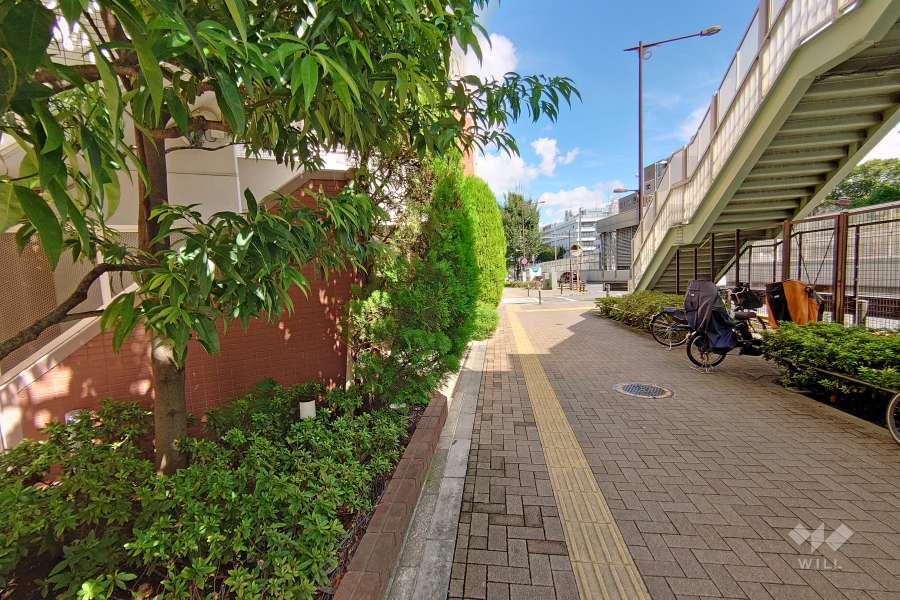 敷地東側の前面道路（南側から）